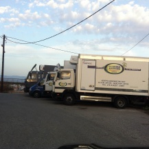 Cash & Carry